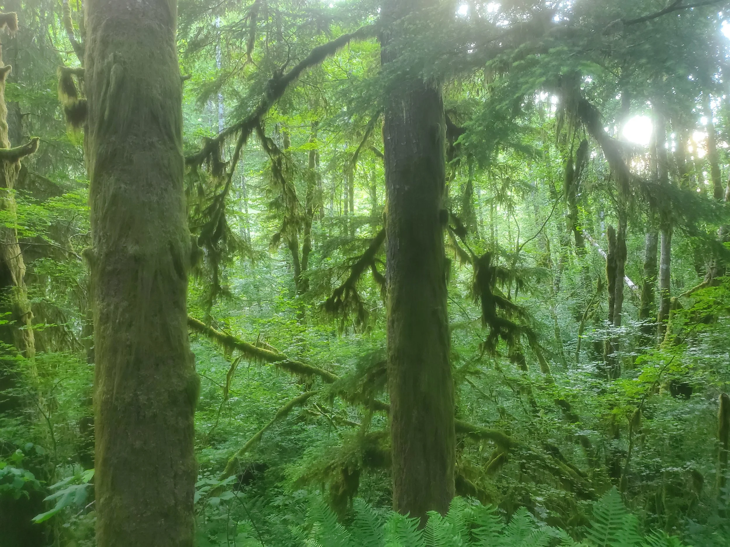 Oregon